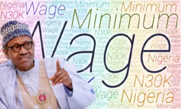 Buhari Has Not Endorsed N30,000 Minimum Wage – Presidency